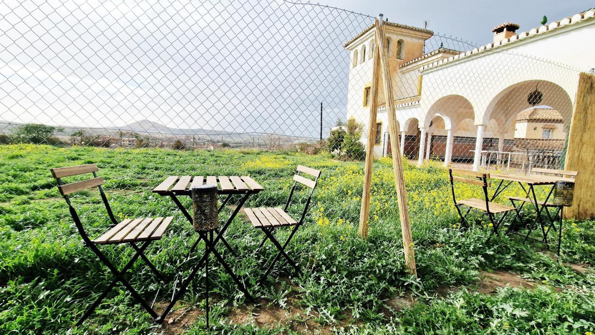 Appartement Aa Guest - Mulhacen Del Jardin Sierra Nevada à Alhendín Extérieur photo