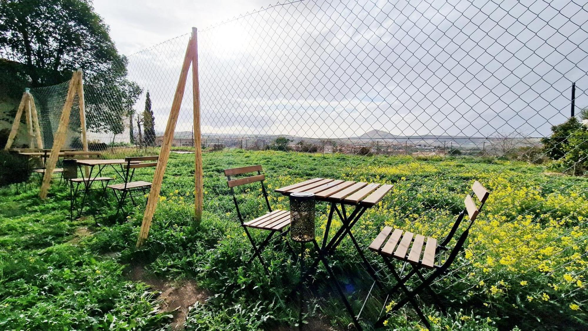 Appartement Aa Guest - Mulhacen Del Jardin Sierra Nevada à Alhendín Extérieur photo